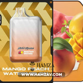 Malek El Zaman Disposable 10000 Puffs Mango Peach Watermelon - ملك الزمان ديسبوزابل مانجو خوخ بطيخ